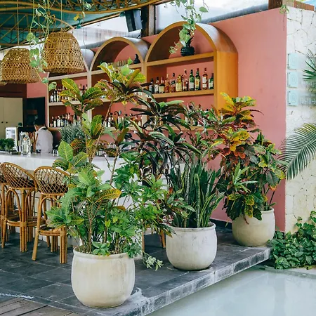 Mi Amor By La Zebra, An Slh Hotel (Adults Only)-3
